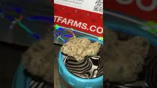 Lit farms purple runtz supreme! Straight pressure! New personal fav from lit.