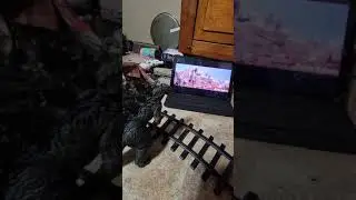 Godzilla reacts to Dante Dotsons new voice over.