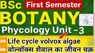 Life Cycle of Volvox | BSc 1st Semester Botany | Unit 3 Phycology (Microbiology and Plant Pathology)
