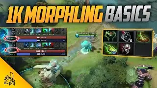 The Basic Fundamentals of Morphling (Reviewing Your Bad Habits)