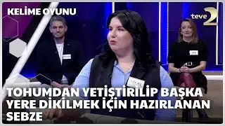Tohumdan yetiştirilip başka yere dikilmek için hazırlanan sebze | Kelime Oyunu