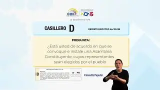 Consulta Popular 2025 Casillero D: tu voto decide la Nueva Constituci&oacute;n