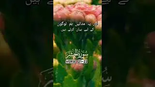 Islamic Shorts || Islamic Status || Whatsapp Status || #shorts #fifa #quran #islam #allah #viral