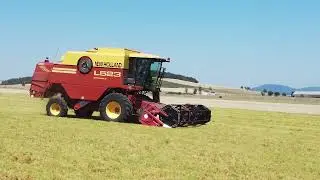 moisson des lentilles vertes du puy 2022
