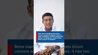 Bone Marrow Transplant Types & Uses: Autologous vs Allogeneic