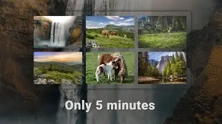 How to shuffle images