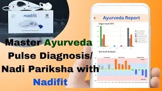 Master Ayurveda Pulse Diagnosis/Nadi Pariksha with Nadifit!