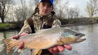 Fishing BIG Trout on the Vermilion River MN (ft. metro fishing)