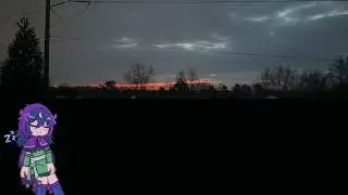 🌅