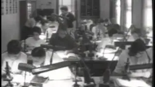 AU Alumni - 1950s