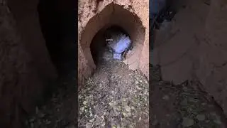 I remember when I was a child I often came to this underground cave dwelling to play with