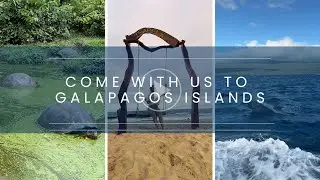 Galapagos Islands