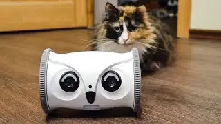 Top 10 Best Home Security Robots Available Currently In The Market 😍