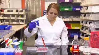 VistaLab Wobble-not Serological Pipette