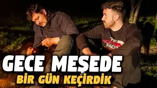 GECE MEŞEDE BİR GÜN KEÇİRDİK