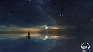 UNISON - TRANSLUCENT