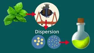 Medical plants extraction
