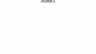 21 beypointer codes