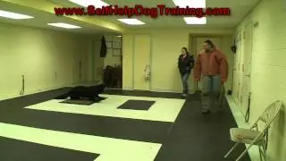Как научить собаку атаковать по команде (k9-1.com)