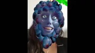 I lost my berries