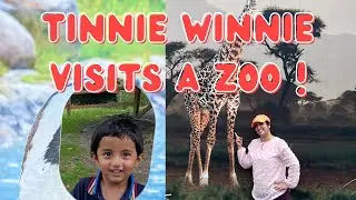 Tinnie Winnie visits a Zoo  ! Educational video ! USA