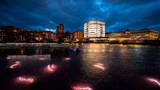 Sneaky Serpents in Sweden