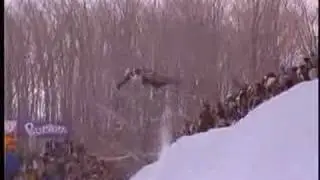 Subjekt Haakonsen