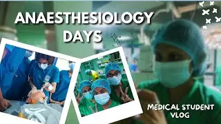Anaesthesiology vlog | Med students vlog sri lanka | Anaesthesia appointment days | medical faculty