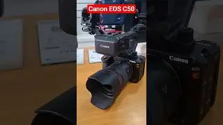 Canon EOS C50 best budget cinema camera #canon #cinematic #camera
