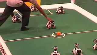 Robocup04 - GermanTeam vs. Nubots (semi final - 2nd half)