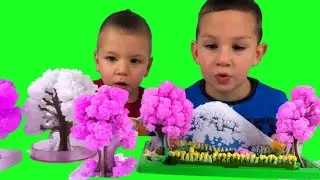 DIY magic sakura tree with Alex and Nico #sakuratree