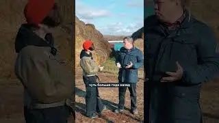 Эдильбаевская порода баранов и их особенности и отличия #фермер #сельскоехозяйство #овцы