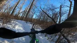 Flat Pete Bluebird 2021Jan18