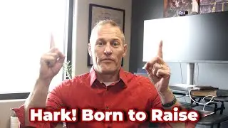 The Beehive Hark! Born to Raise  | The Bee Hive With John Beeson