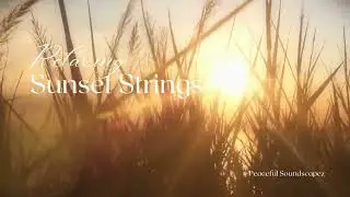 Relaxing Sunset Strings | Calm | StressRelief | Relaxation | Meditation | Spa | Yoga | Sleep(32mins)