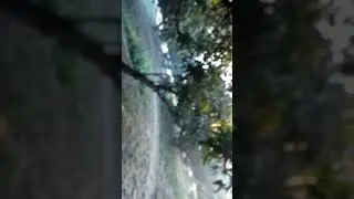 Setet