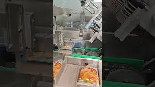 Fully automatic cartoning machine