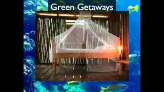 Green Therapy Natural Health Mag Introduction