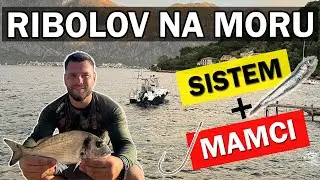 Ribolov na moru - Kako loviti oradu (sistem + mamci)