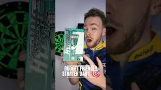 Best budget friendly starter dart?! 🎯  @TargetDarts180 #darts #dartscommunity