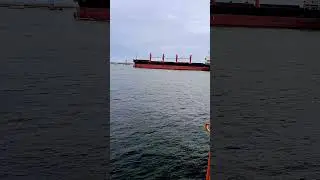 BULK CARRIER SHIP 🌊🚢🌊@portramuofficial