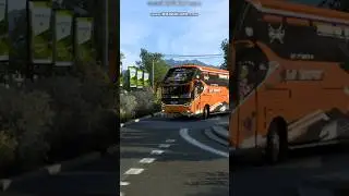 Basuri remix sjm batosay #busmania #basuri #ets2 #ets2indonesia #bussid #shorts