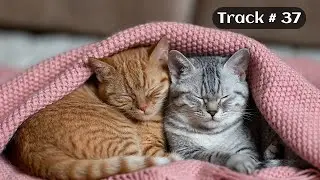 [Sleepy Cats Piano #37] Peaceful Piano and Warm Cat Cuddles