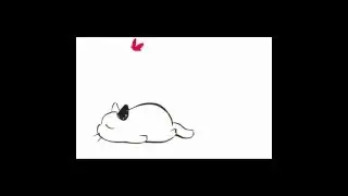 Funny cat and butterfly - Short Animation for Kids - Fun Animal Zone