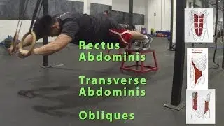 How to : Ab rollout on rings