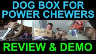 BULLYMAKE Dog Toys Treats for Power Chewers Monthly Box Subscription