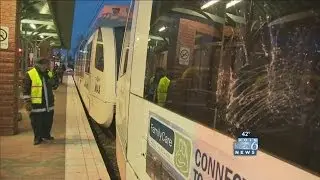 Tree hits wires, delays MAX Blue Line