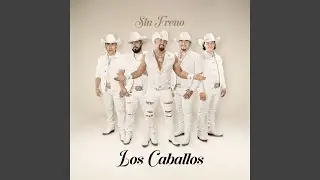 Que Vuelva