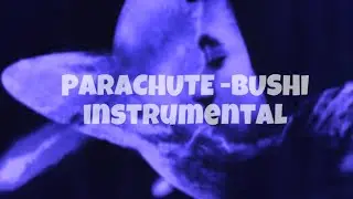 Parachute - instrumentale | BUSHI