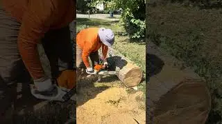 Bucking, Limbing, and chainsaw tips 🤙🏽
